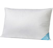 Анатомическая подушка Askona Silver Goose RETAIL 50x70 25bdb68faa67c9bb3e68822025cd2c67