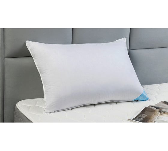 Анатомическая подушка Askona Silver Goose RETAIL 50x70 25bdb68faa67c9bb3e68822025cd2c67
