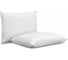 Анатомическая подушка Askona Protect-a-bed серия Basic RETAIL 50x70 7b131d6cca59cfb925d4c6b1f4778d1c 1