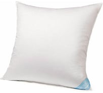 Анатомическая подушка Askona Silver Goose RETAIL 68x68 aa9aadaf08e0470fe0f5db9745ca19b6