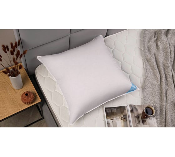 Анатомическая подушка Askona Silver Goose RETAIL 68x68 aa9aadaf08e0470fe0f5db9745ca19b6