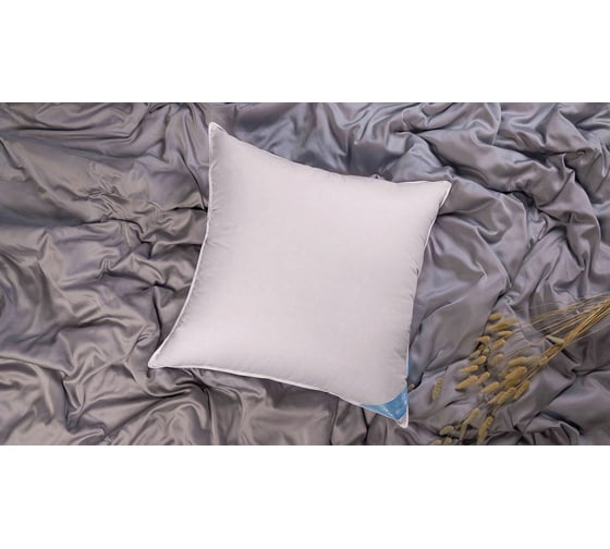 Анатомическая подушка Askona Silver Goose RETAIL 68x68 aa9aadaf08e0470fe0f5db9745ca19b6