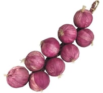 Декоративная связка лука Волшебная страна 005367