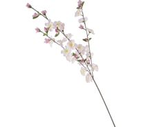 Ветка Волшебная страна Яблоня бело-розовая 004182