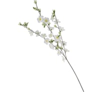 Ветка Волшебная страна Яблоня белая 004815