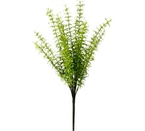 Папоротник Волшебная страна Индийский водный 004059