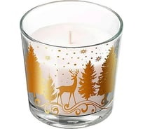 Свеча Волшебная страна Charm Christmas Зимний пейзаж в стакане 008165