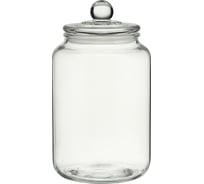 Банка для хранения Smart Solutions стеклянная, 3 л SFE-SS-CJ-GLS-3