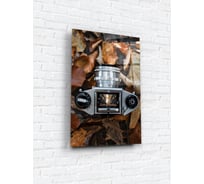 Картина на стекле ARTABOSKO Снимки 2 40x60 WBR-10-1329-04