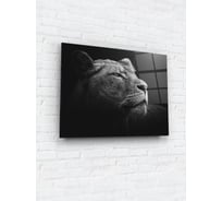 Картина на стекле ARTABOSKO Зоо 2 60x80 WBR-01-1459-06