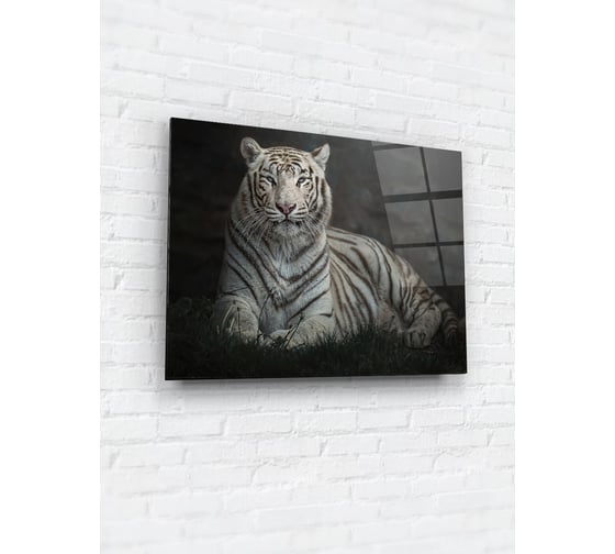 Картина на стекле ARTABOSKO Зоо 1 60x80 WBR-01-1458-06 1