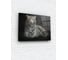 Картина на стекле ARTABOSKO Зоо 1 60x80 WBR-01-1458-06 1
