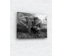 Картина на стекле ARTABOSKO Зоо 3 60x80 WBR-01-1461-06