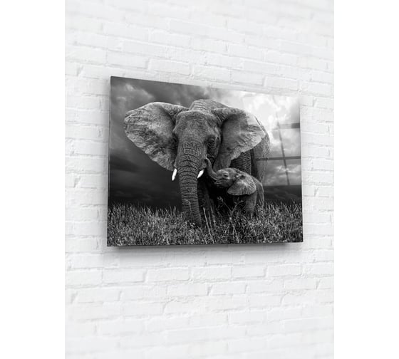 Картина на стекле ARTABOSKO Зоо 3 60x80 WBR-01-1461-06