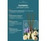 Ароматический диффузор в стеклянном флаконе Aroma republic №61 Amber sea, 90 мл 93836 13