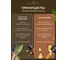 Ароматический диффузор в стеклянном флаконе Aroma republic №59 Lebanese spices, 90 мл 93837 14