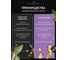 Ароматический диффузор в стеклянном флаконе Aroma republic №53 Oriental princess, 90 мл 93841 6