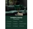 Ароматический диффузор в стеклянном флаконе Aroma republic №51 Secret grove, 90 мл 93839 19