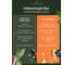 Ароматический диффузор в стеклянном флаконе Aroma republic №17 Orange wood, 90 мл 93835 16