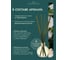 Ароматический диффузор в стеклянном флаконе Aroma republic №19 Tropical rain 70 мл 93826 15