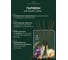 Ароматический диффузор в стеклянном флаконе Aroma republic №51 Secret grove, 50 мл 93824 12
