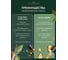 Ароматический диффузор в стеклянном флаконе Aroma republic №51 Secret grove, 50 мл 93824 14