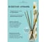 Ароматический диффузор в стеклянном флаконе Aroma republic №58 Magical freesia, 50 мл 93822 10