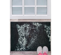 Коврик влаговпитывающий без канта фотопечать Blabar 50x80 см 61052-б/к