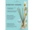Ароматический диффузор в стеклянном флаконе Aroma republic №58 Magical freesia, 30 мл 93806 13