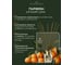 Ароматический диффузор в стеклянном флаконе Aroma republic №17 Orange wood, 30 мл 93815 12
