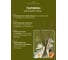 Ароматический диффузор в стеклянном флаконе Aroma republic №60 Italian garden, 50 мл 93818 12