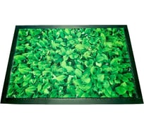 Коврик влаговпитывающий с кантом фотопечать Blabar 40x60 см 61674