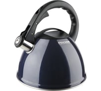 Чайник RONDELL Royal Blue 3.2 л RDS-418