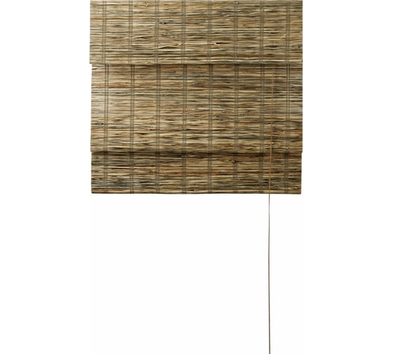 Римская штора ПраймДекор Grass, листья травы, 100x160 45100136