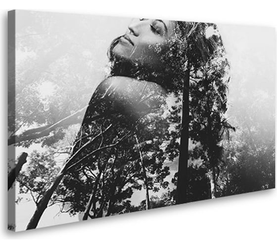 Постер-картина Студия Фотообоев Мечты о лесе, 75x120 см 2433748 1