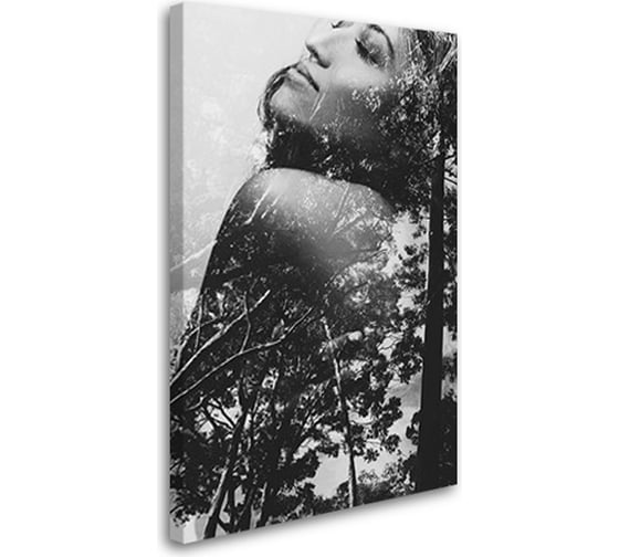 Постер-картина Студия Фотообоев Мечты о лесе, 120x75 см 2533748 1