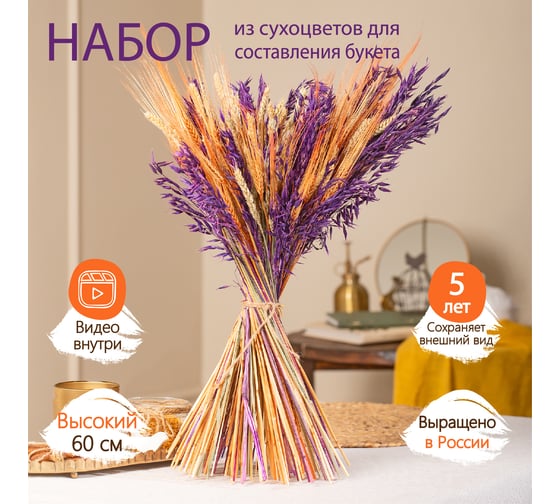 Набор из сухоцветов для составления букетов Стильный Дом из 3-х культур, пшеница/овес/ячмень, натуральный/фиолетовый/оранжевый 74196