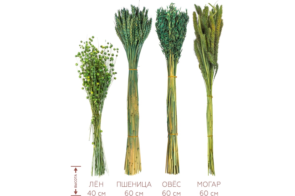 Набор из сухоцветов для составления букетов Стильный Дом зеленый, из 4-х  культур, могар/овес/лен/пшеница 74192