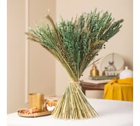 Набор из сухоцветов для составления букетов Стильный Дом зеленый, из 4-х культур, могар/овес/лен/пшеница 74192