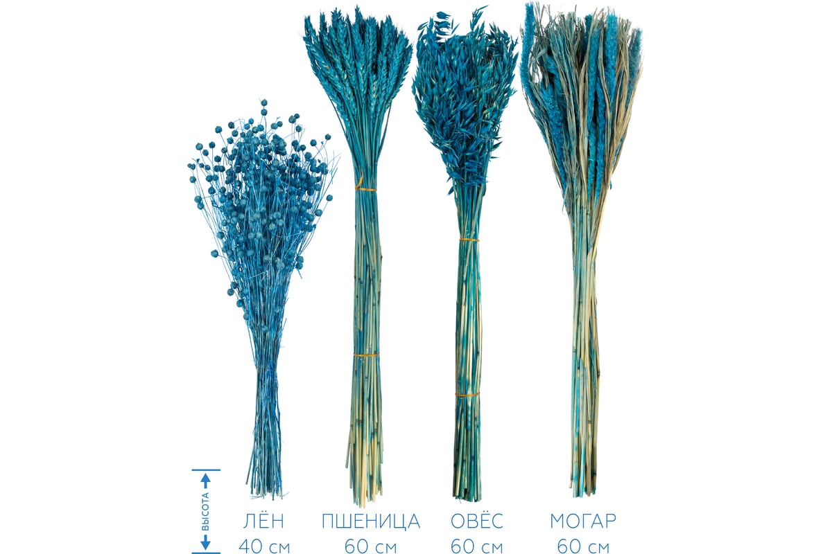 Набор из сухоцветов для составления букетов Стильный Дом синий, из 4-х  культур, могар/овес/лен/пшеница 74191 - выгодная цена, отзывы,  характеристики, фото - купить в Москве и РФ