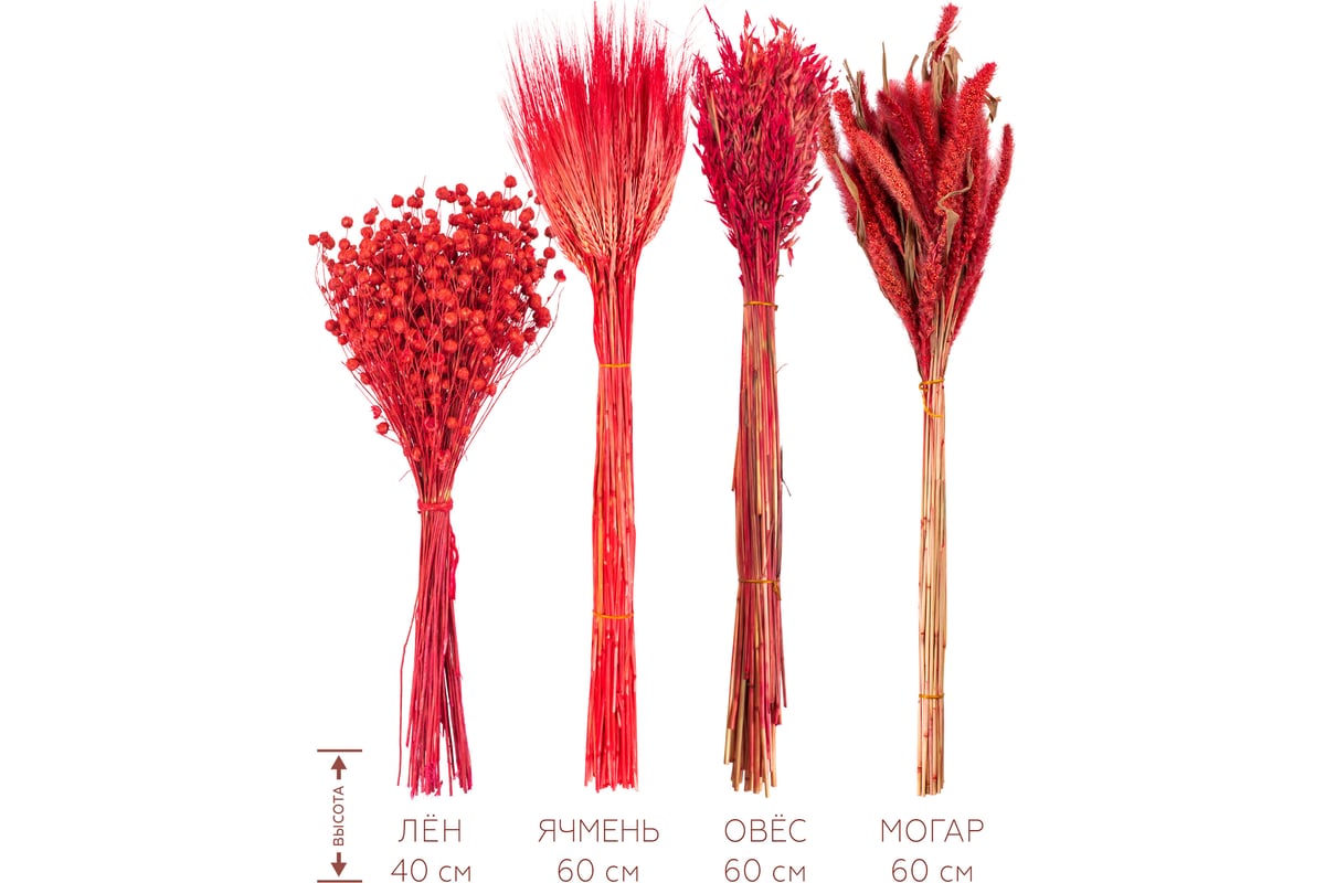 Набор из сухоцветов для составления букетов Стильный Дом красный, из 4-х  культур, могар/овес/лен/ячмень 74190 - выгодная цена, отзывы,  характеристики, фото - купить в Москве и РФ