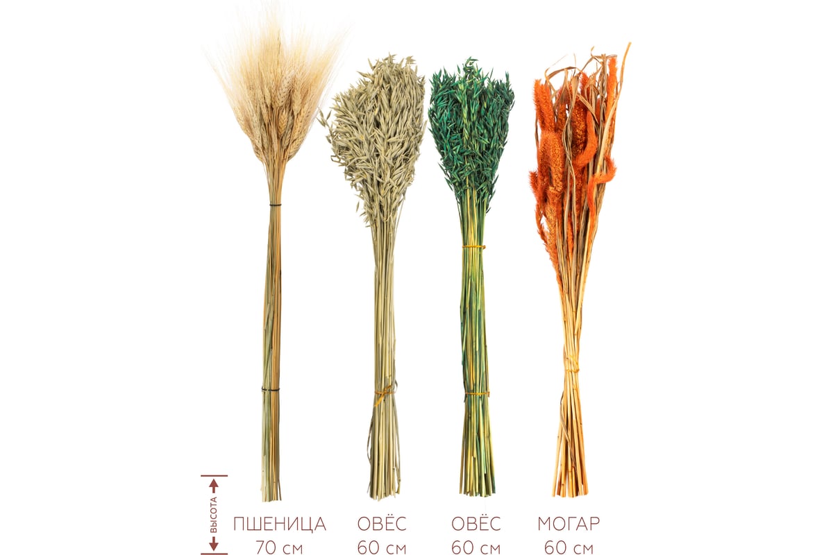 Набор из сухоцветов для составления букетов стильный дом из 4-х культур, пшеница/овес/овес/могар, натуральный/натуральный/зеленый/оранжевый 74197