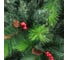 Елка искусственная 150см Royal Christmas Phoenix 38150 3