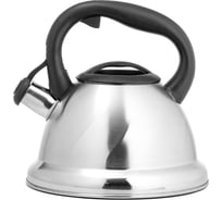 Чайник Lara 2.7 л, автоподъем крышки, ненагревающаяся ручка, капсулированное индукционное дно LR00-55