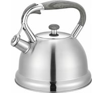 Чайник из нержавеющей стали TAVOLONE ALVI 3 л 800-250 806127286540
