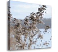 Картина-постер Студия фотообоев злаки на берегу 50x50 см 2336635
