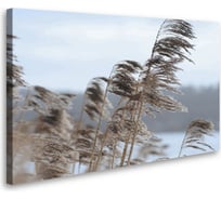 Картина-постер Студия фотообоев злаки на берегу 120x75 см 2536635