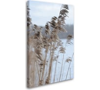 Картина-постер Студия фотообоев злаки на берегу 50x80 см 2136635