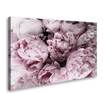 Картина-постер Студия фотообоев розовые пионы 80x50 см 2236636