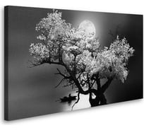 Картина-постер Студия фотообоев одинокое дерево 80x50 см 2236650